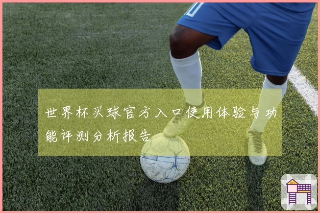 世界杯买球官方入口使用体验与功能评测分析报告