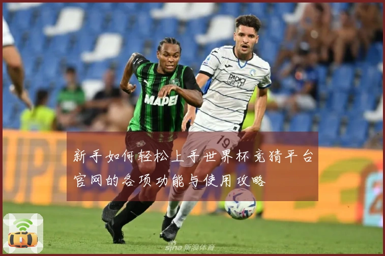 新手如何轻松上手世界杯竞猜平台官网的各项功能与使用攻略