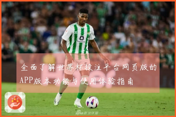全面了解世界杯投注平台网页版的APP版本功能与使用体验指南
