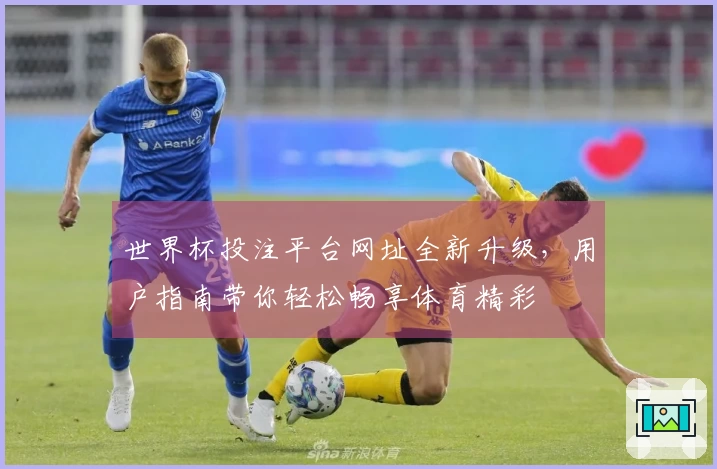 世界杯投注平台网址全新升级，用户指南带你轻松畅享体育精彩