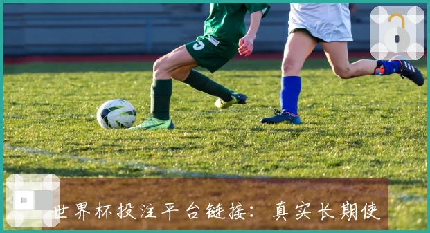 世界杯投注平台链接：真实长期使用评价，助你掌握平台最新动态