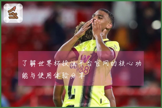 了解世界杯投注平台官网的核心功能与使用体验分享
