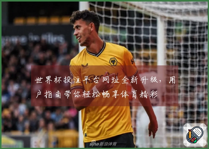 世界杯投注平台网址全新升级，用户指南带你轻松畅享体育精彩