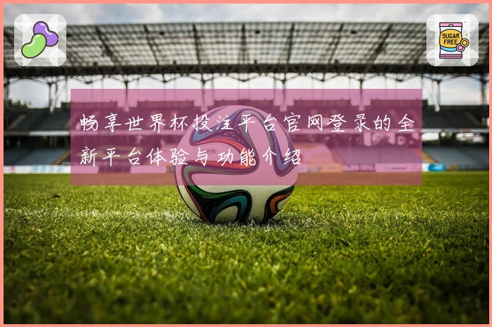 畅享世界杯投注平台官网登录的全新平台体验与功能介绍