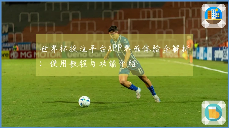 世界杯投注平台APP界面体验全解析：使用教程与功能介绍